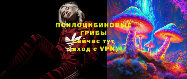герыч Гатчина