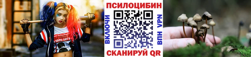 Галлюциногенные грибы Psilocybe  где купить наркотик  Тольятти 