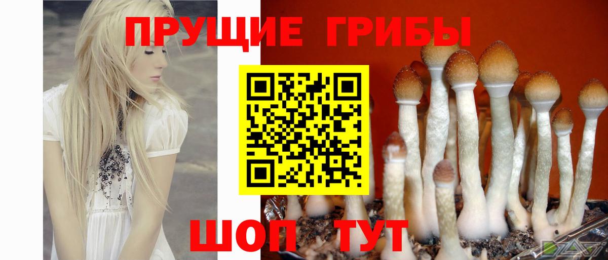 Псилоцибиновые грибы Magic Shrooms  Тольятти 