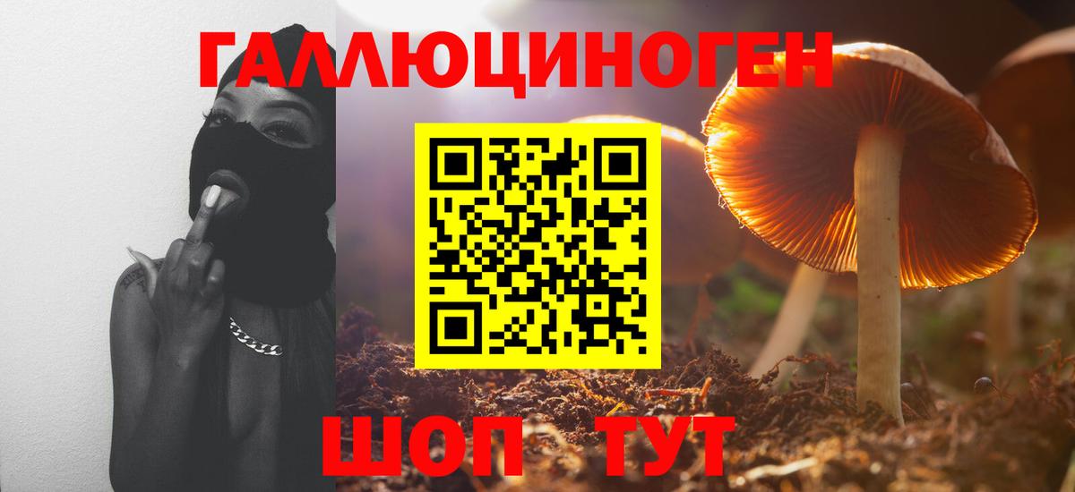 Галлюциногенные грибы мицелий Тольятти