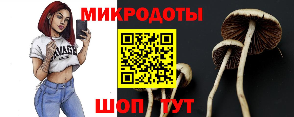 Галлюциногенные грибы мухоморы  Галлюциногенные грибы мицелий  Тольятти  Вход с VPN 