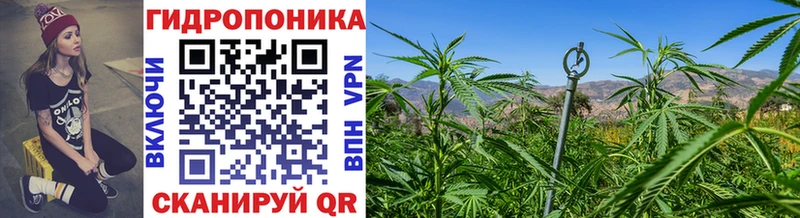 blacksprut ссылки  Тольятти  Бошки марихуана Ganja 