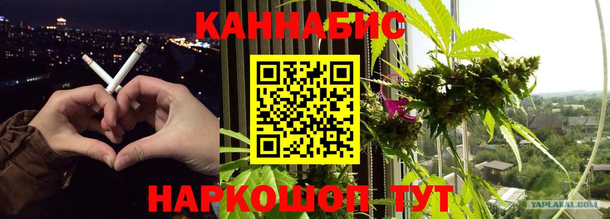 Бошки марихуана тримм  МАРИХУАНА OG Kush  Канабис индика  Тольятти  Бошки марихуана планчик 